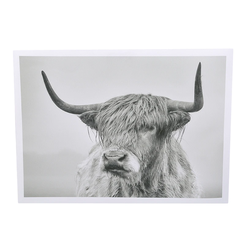 Черно-белый домашний Декор постер с изображением животных Нагорная корова Як