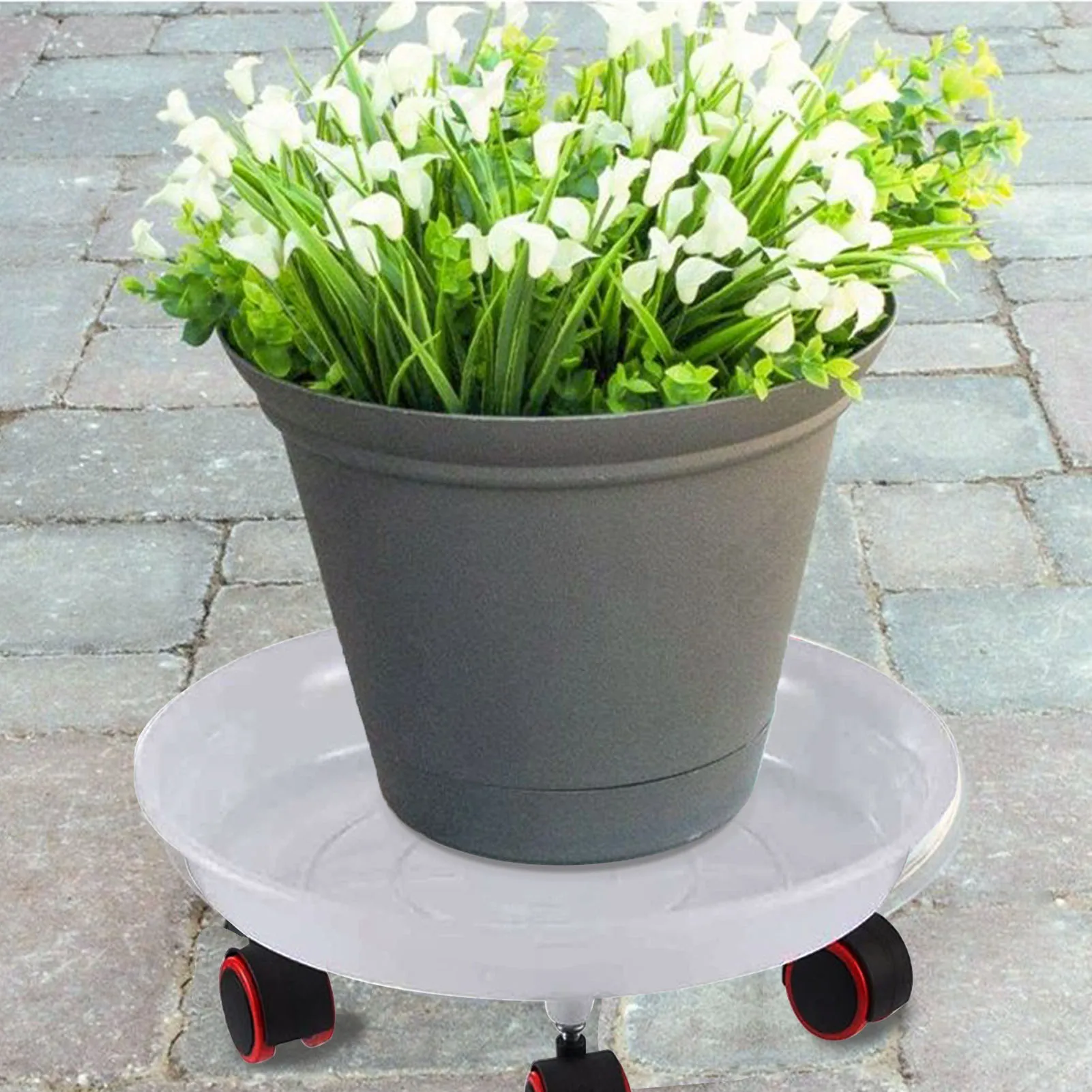 

Plant Caddy With 360 Lockable Wheel Plant Stand Resin Flower Pot Mover Mobile Tray With Universal Wheels Round Flower Pot Bottom
