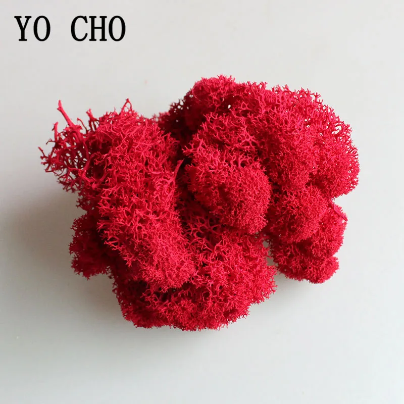 Сушеный оленевой мох YO CHO 1 пакет 10 г натуральный сохраненный сушеный