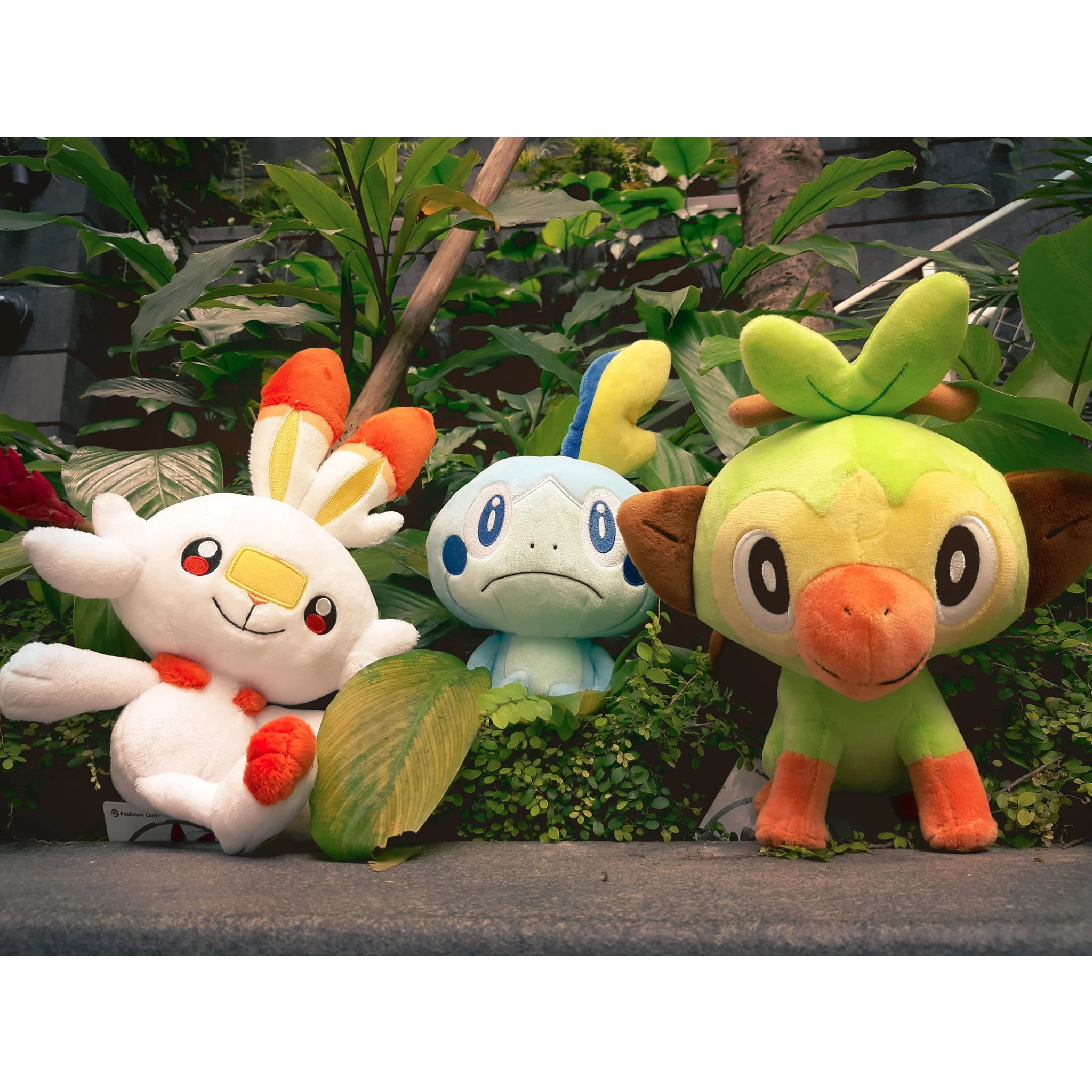 Sobble Grookey Scorbunny плюшевая кукла новая игра меч/щит кролик ящерица обезьяна утка Kawaii