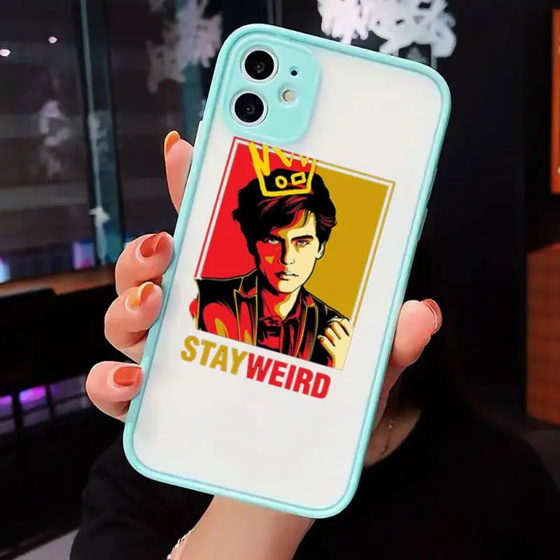 

TV Riverdale South Snake Phone Cases Matte Transparent For iPhone 12 Mini 11 Pro XR XS Max 7 8 Plus