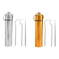 3pcs toothpicks pocket set outdoor edc portable multi purpose toothpick fruit fork camping tool with toothpick storage tube