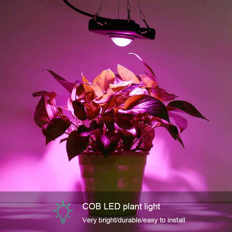 

Full Spectrum COB Grow Light 300W High Luminous Efficiency Growing Lamp for Plants COB Phytolamp for Indoor greenhousesGrow Box