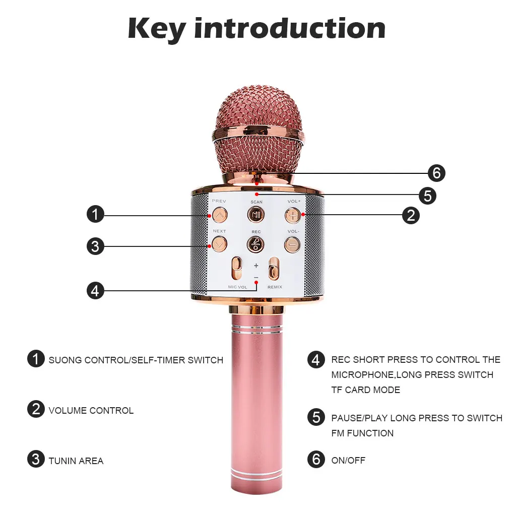 Беспроводной микрофон для караоке с поддержкой Bluetooth и микрофоном Домашнего