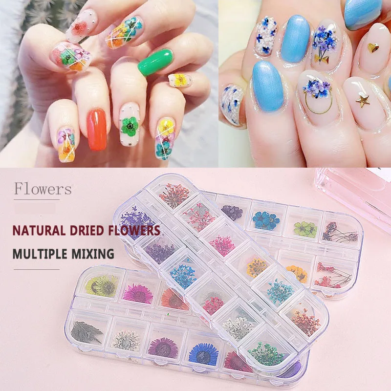 

Kids DIY Handicraft Toys Dried Flowers Natural Dry Plants for Christmas Wedding Birthday Party Gift Making Dried Flower Nail Art