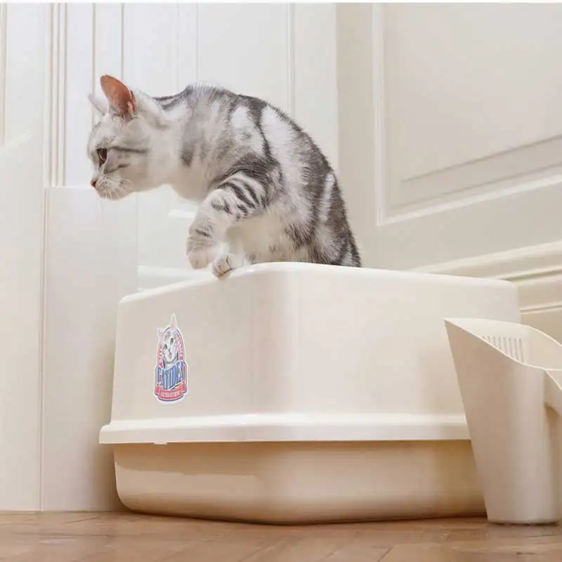 

Пластик большой наполнитель для кошачьего туалета Top Box запись Закрытая кошачий Туалет для помещений тренировочный комплект песочница дома...