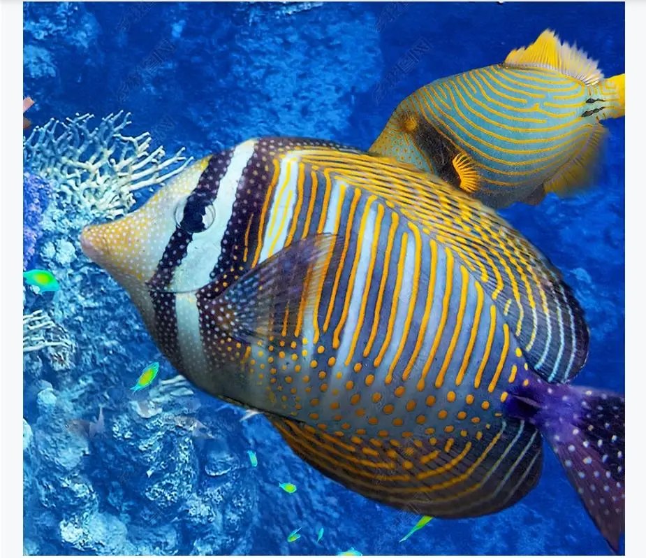 

Custom Mural Wallpaper Underwater world tropical fish coral 3D floor tiles Bathroom Art Decor Waterproof Self-adhesive Floor