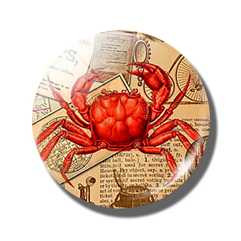 Краб магнит на холодильник Декор милое животное 30 мм магниты Стеклянная Доска