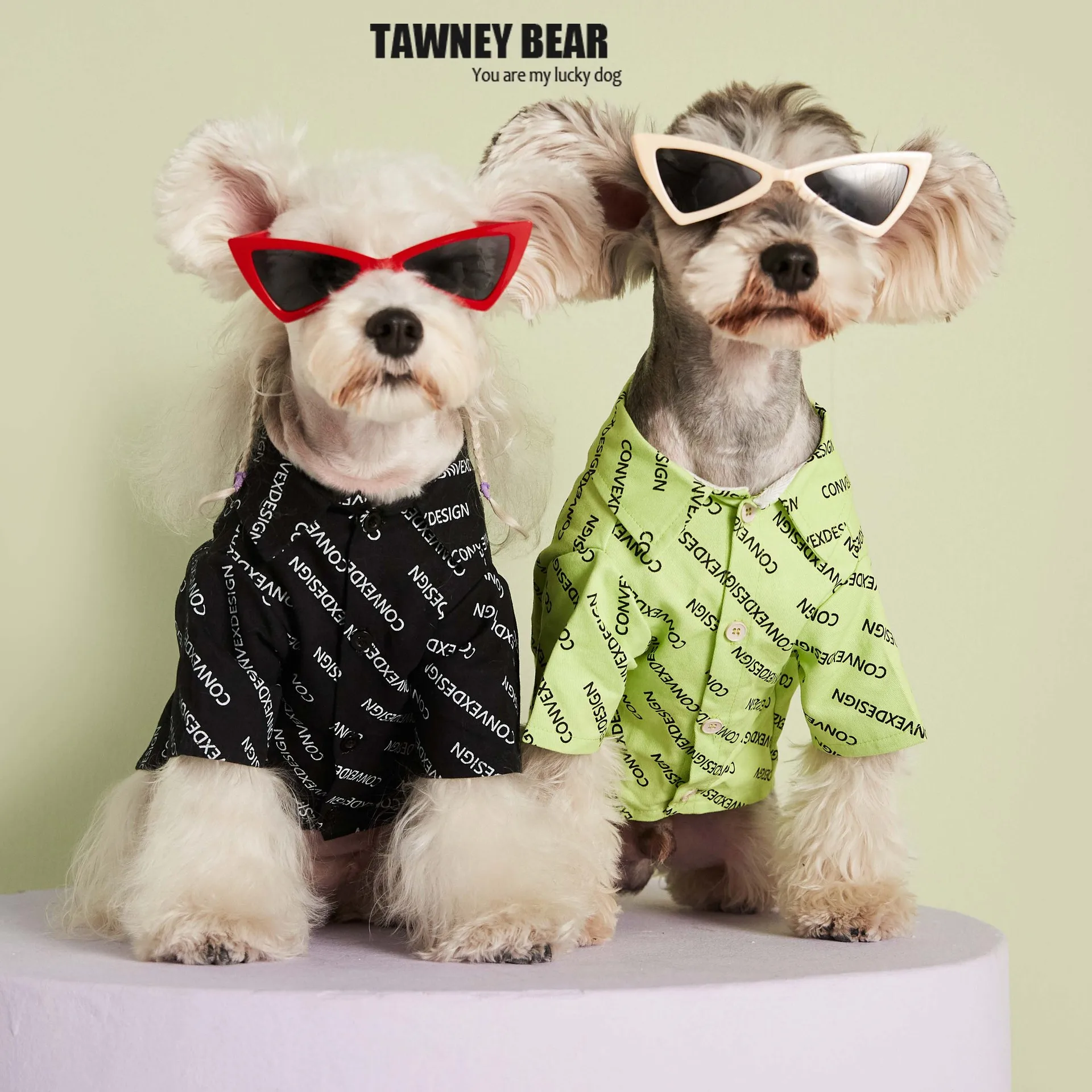

Pet clothes spring and summer letters denim shirt Teddy Schnauzer shiba inu cat bichon dog costume