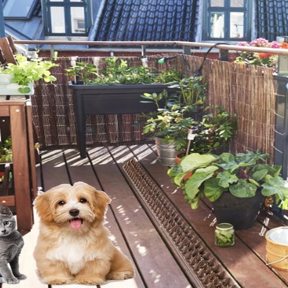 5 шт птичий репеллент кошачий гвоздь конус для ногтей пластиковая