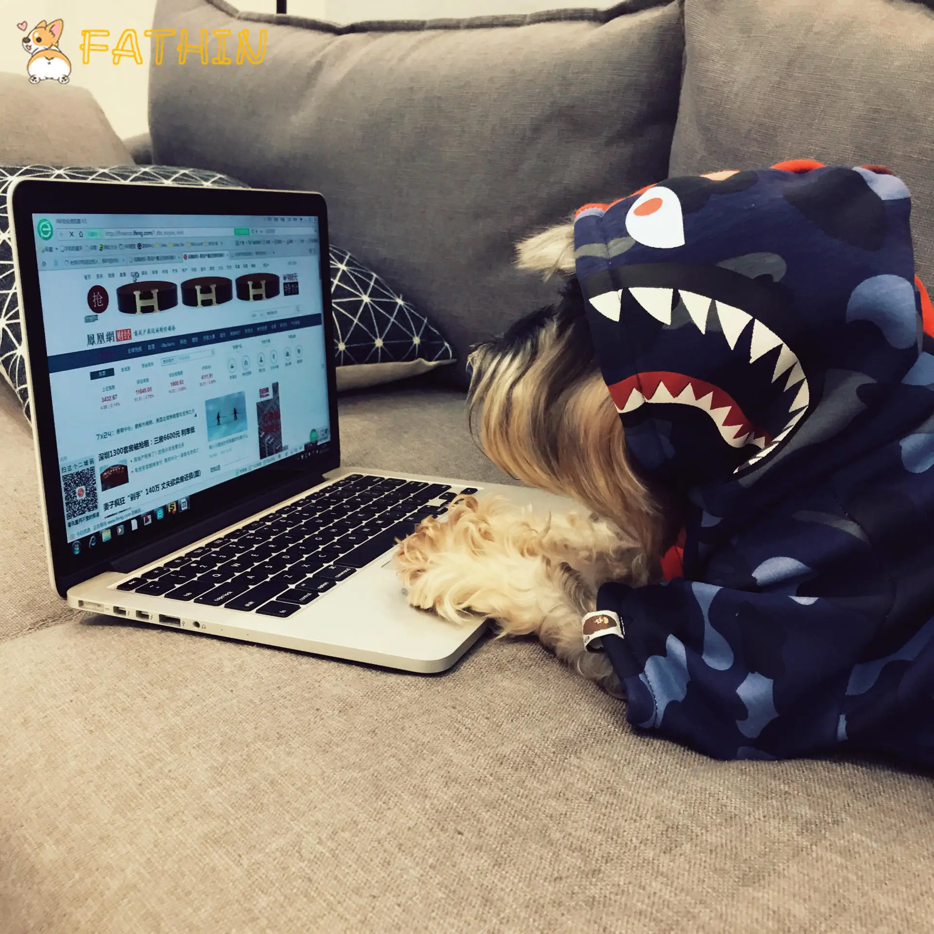 FATHIN Одежда для собак Pupreme Pawmain французская футболка с бульдогом свитер для собак спортивная ретро Чихуахуа кошка одежда для домашних животных S-XXL