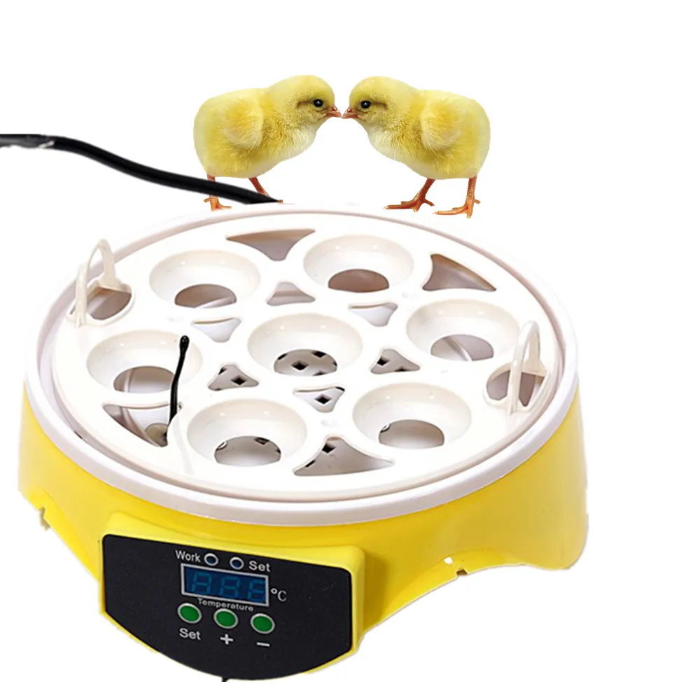 Chicken Duck Turkey Quail Goose Automatic Love Baby Bird Mini Egg Incubator For Sale | Laboratory Thermostatic Devices