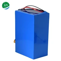 rechargeable citycoco batterie electric bicycle bike li ion lifepo4 battery 48v 20ah ebike lithium battery pack