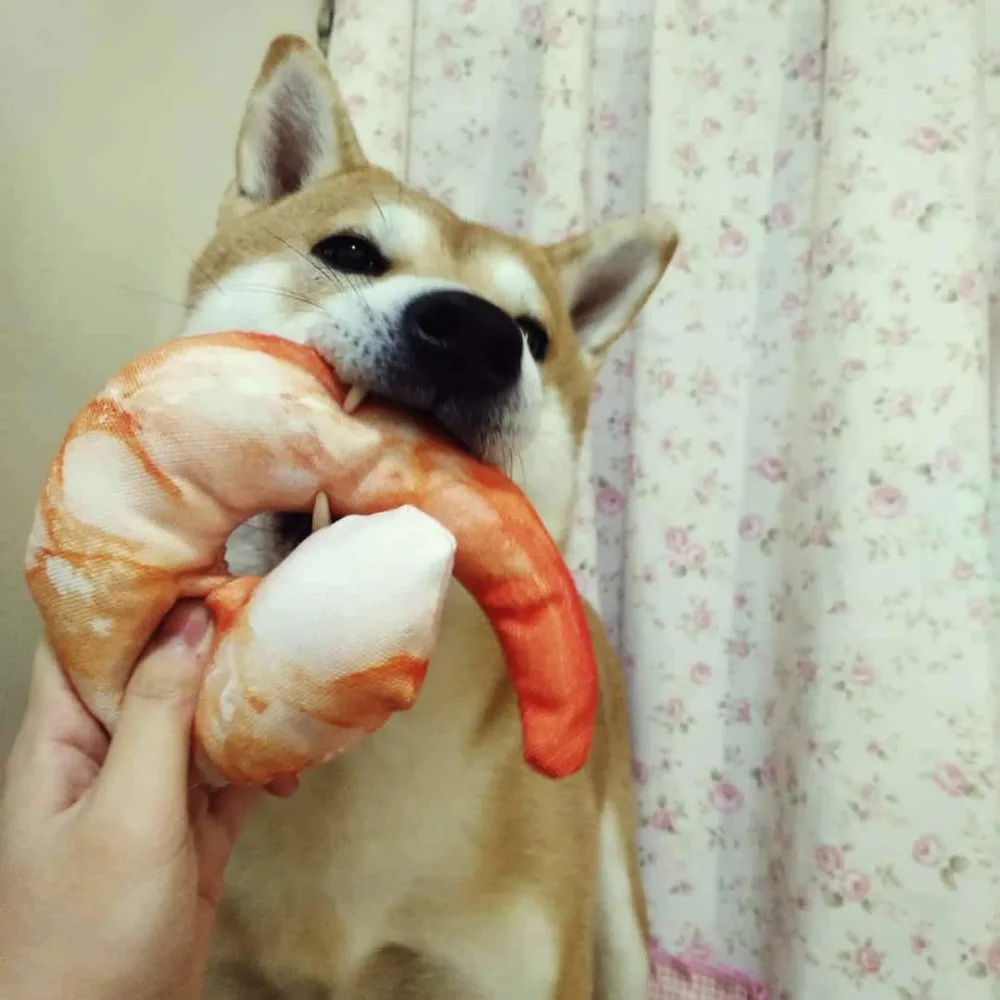 Cute Pet Puppy Chew Toys Dog Squeaky Toy Wolf Stuffed Squeaking Animals Plush Rabbit Honking Training Squirrel Supplies | Дом и сад