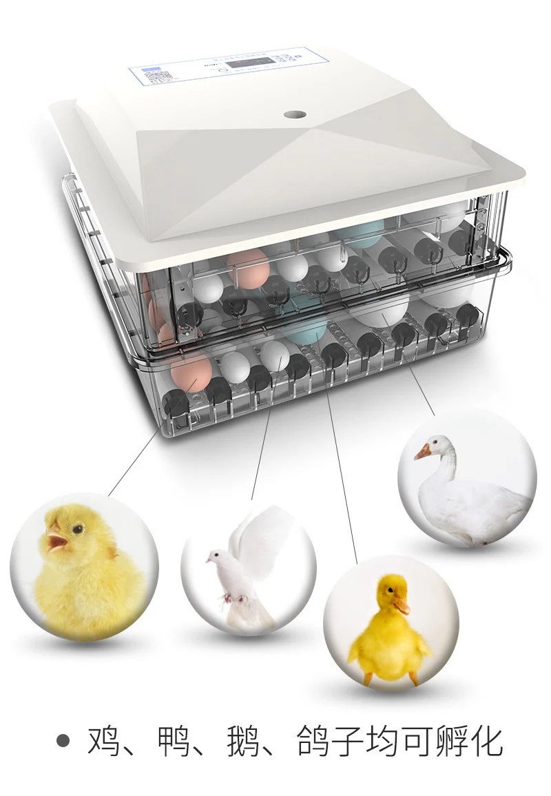 Инкубатор для маленьких и домашних яиц полностью автоматический умный курятник |