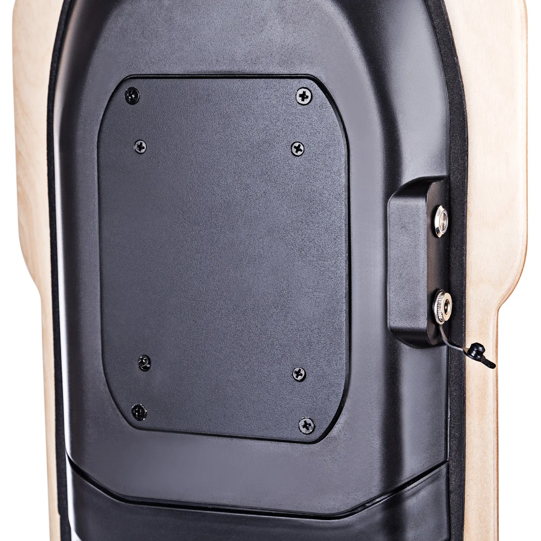 Просителей CT-03 4-х колесный Электрический скейтборд для детей школьного играть в