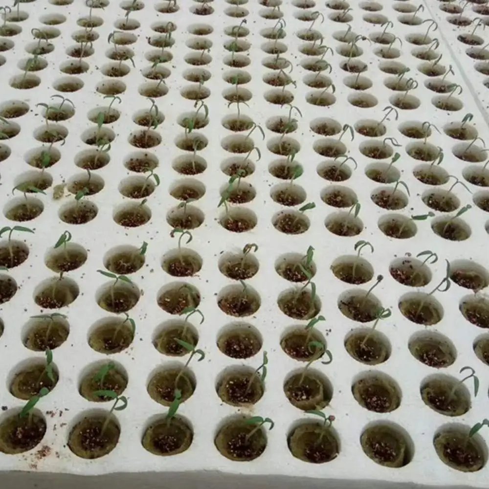 50 шт grow plug a pack Grodan " Starter Cubes plugs-hydroponic rockwool grow media. Распространение клонирования из минеральной ваты кубики