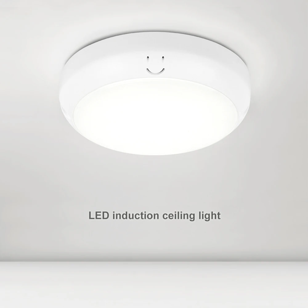 

AC220V Surface Mounted Chandelier 12W Sound And Light Control Ceiling Lamp Waterproof For Unilityroom/Bed Room/Dindingroom/Home
