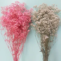 80gbunch colorful new arival gypsophila paniculata natural dried flowers for wedding valentines%ef%bc%8c home office decoration