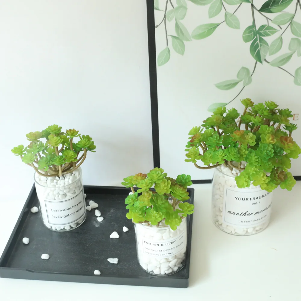 Artificial Succulents Plants Green Purple Red White Blue Flocking Home Garden Decoration Plastic Mini Desktop Bonsai | Дом и сад