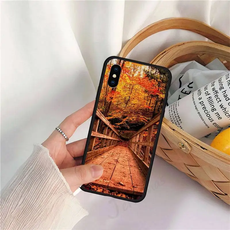 

Autumn Breeze Fallen leaves Phone Case for iPhone 11 12 pro XS MAX 8 7 6 6S Plus X 5S SE 2020 XR