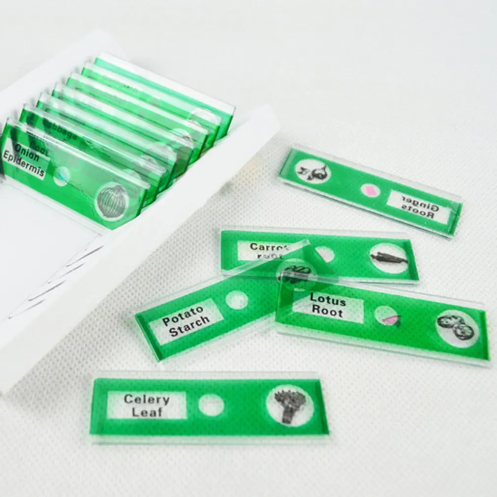 Моделирование биологической науки Hd микроскоп детская головоломка Раннее