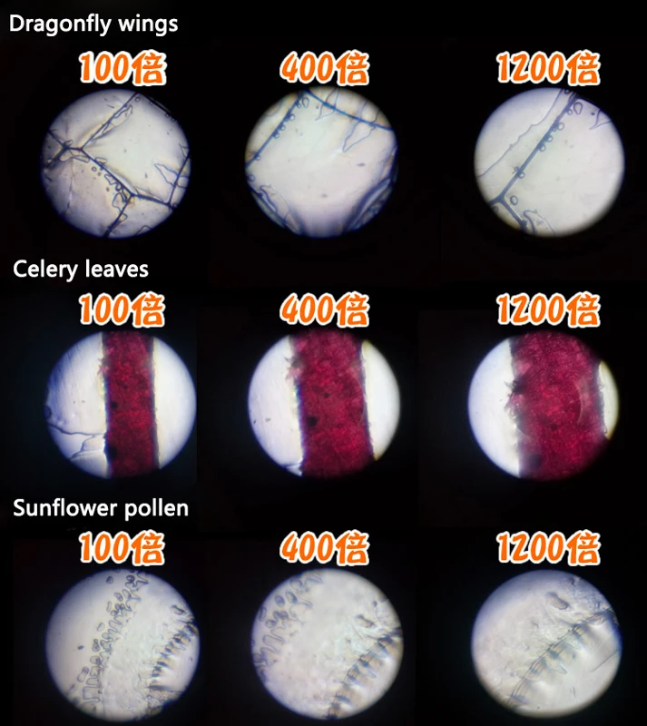48 шт./4 коробки органические образцы растений|Запчасти и аксессуары для