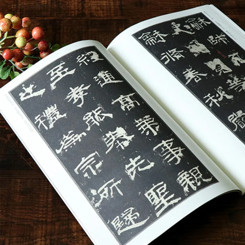 Han Yi Ying Bei The writing brush Calligraphy Copybook for Adults | Канцтовары для офиса и дома