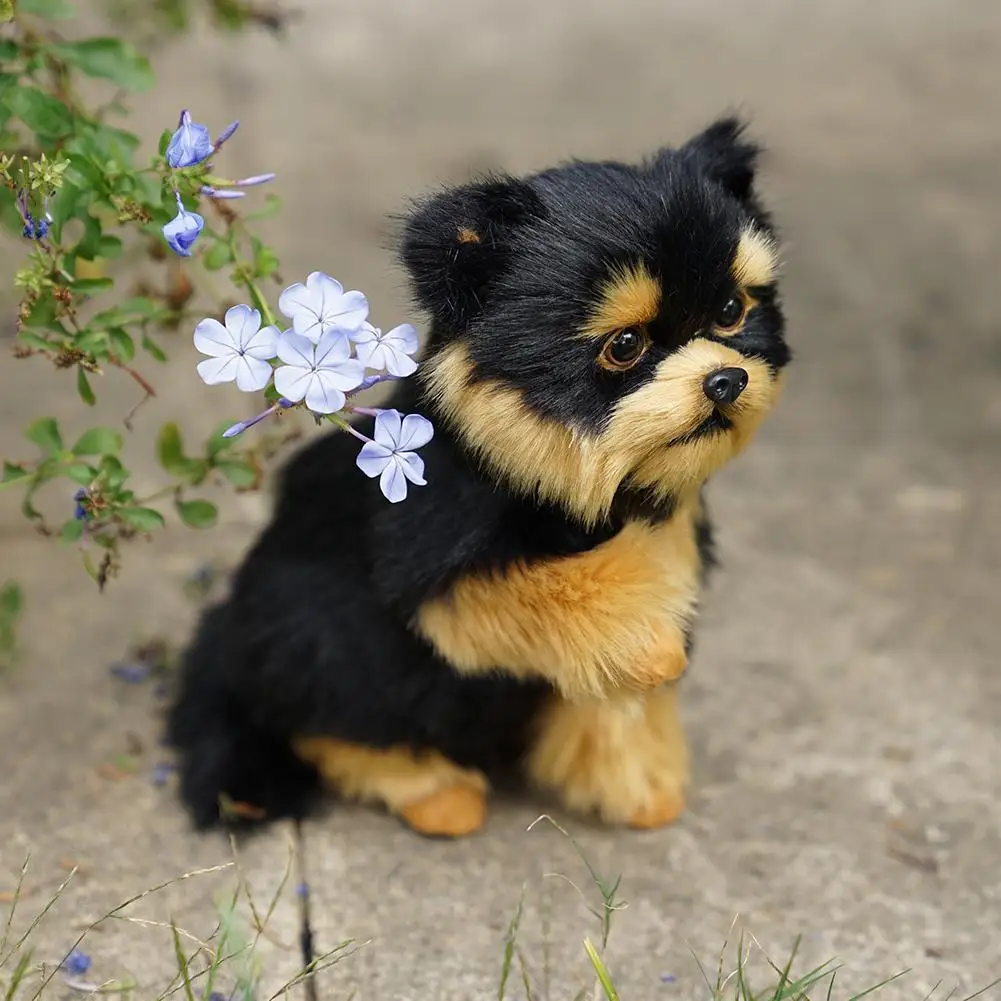 

Kawaii Simulation Toy Plush Yorkshire Terrier H0Z6
