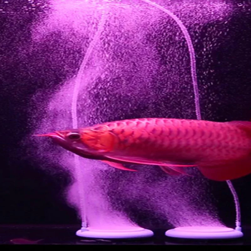 Сверхнизкий уровень шума аквариумный воздушный насос мини компрессор