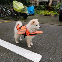 pet dog life jackets small medium sized dogs summer angel wings beach boating swimwear reflective and breathable safety clothing