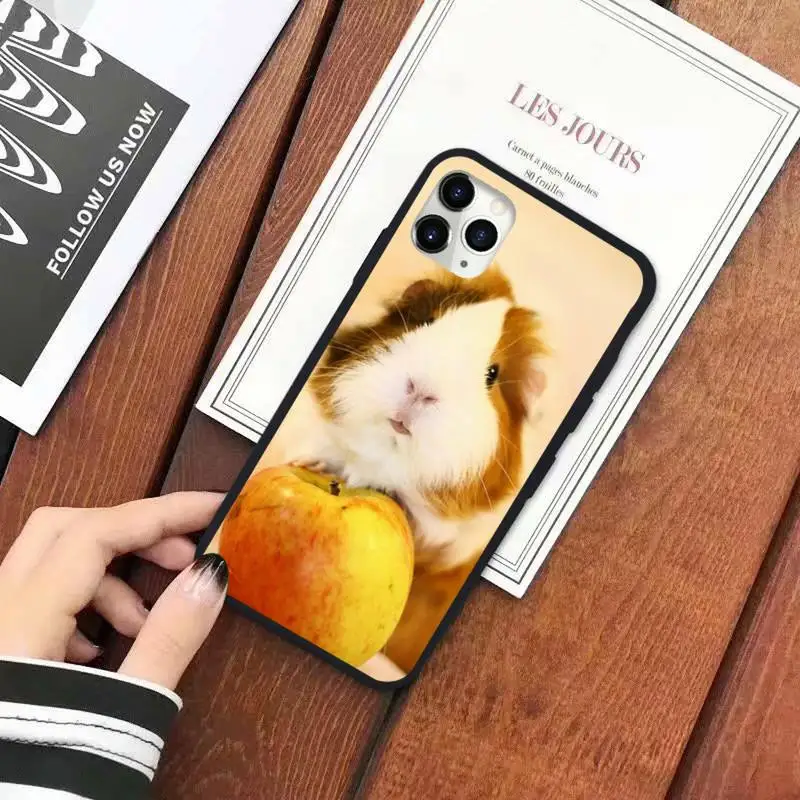 

cute animal Guinea pig Slim Phone Case for iPhone 11 12 mini pro XS MAX 8 7 6 6S Plus X 5S SE 2020 XR
