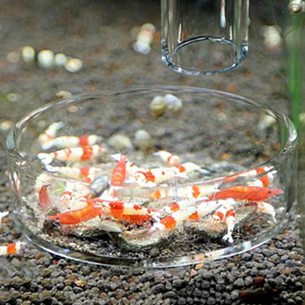 Стекло кормить блюдо + 300 мм трубка кормушка для креветок с присоской садок рыбы