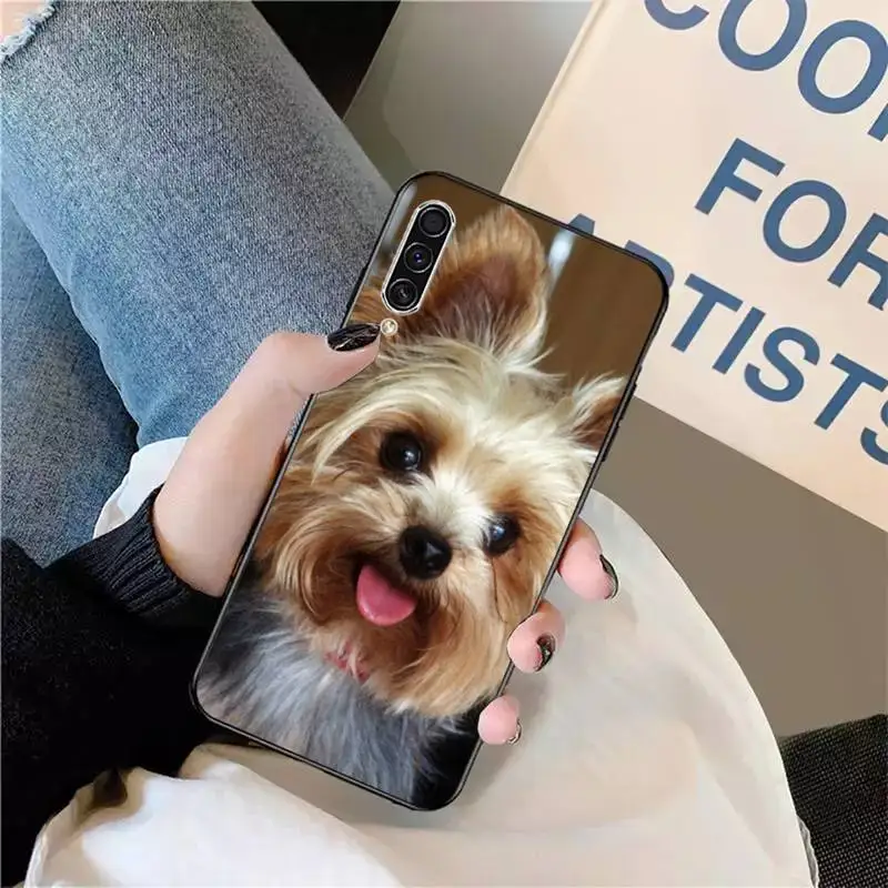 

Mini Yorkshire Terrier Dog animal Phone Case For Samsung galaxy S 9 10 20 A 10 21 30 31 40 50 51 71 s note 20 j 4 2018 plus