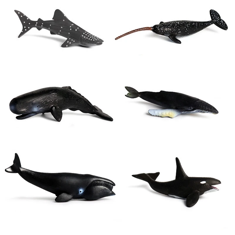 

6 шт., набор моделей морских животных, серая акула, горбатая, Косатка, фигурки героев, игрушки для детей