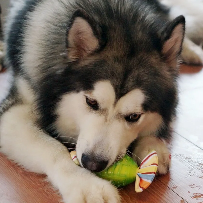 

Rubber Puppy Chew Ball With Squeaker Dog Toys For Interactive Chewers Almost Indestructible And Durable Toy For All Size Of Dogs