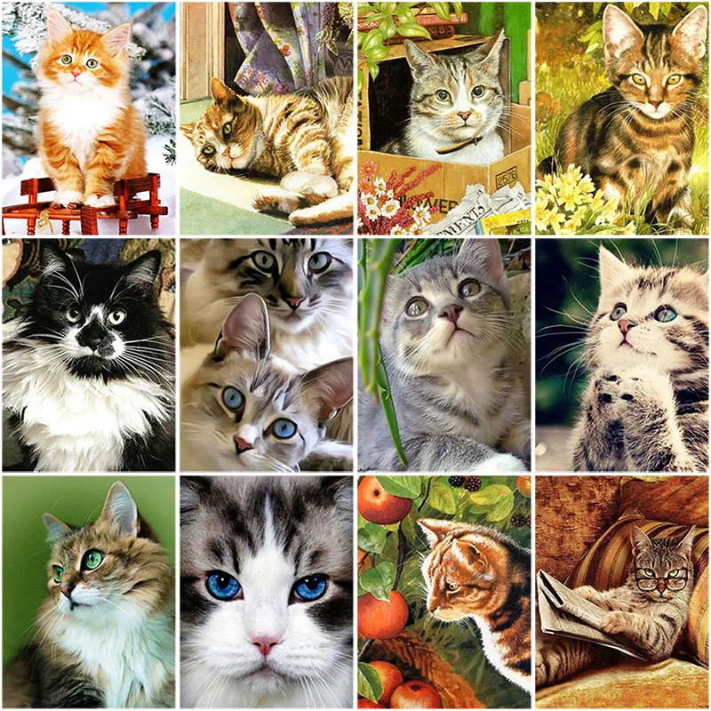 DIY 5D алмазная картина с милым котом вышивка животными крестом мозаика стразы