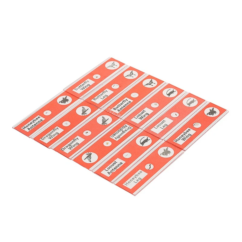 48 шт детские пластиковые слайды подготовленные для микроскопа животных