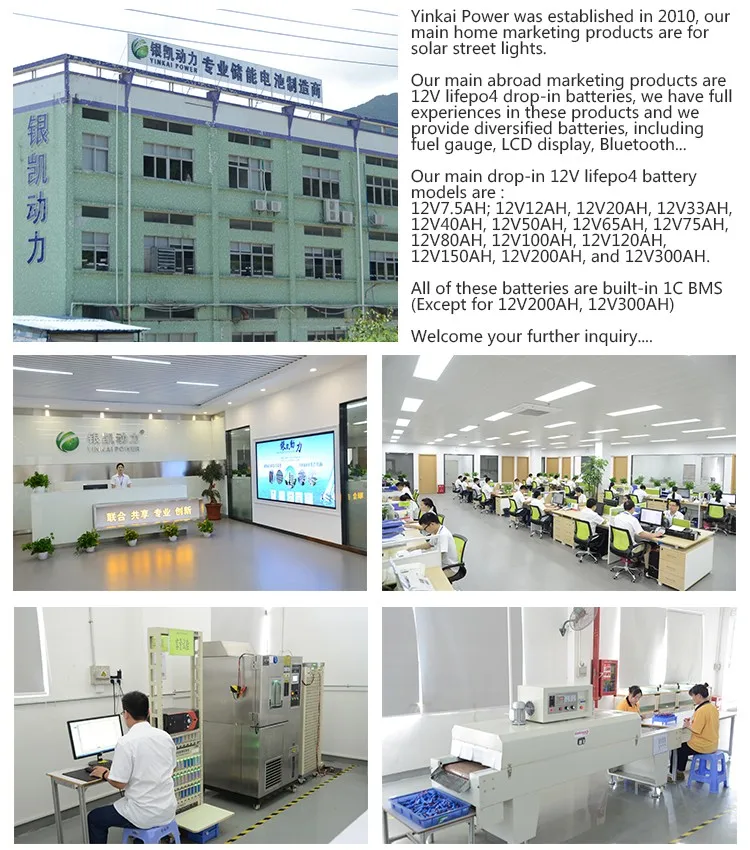 

Deep Cycle lithium golf cart battery lifepo4 12V 24V 36V 48V 15AH 18AH 20AH 22AH 30AH