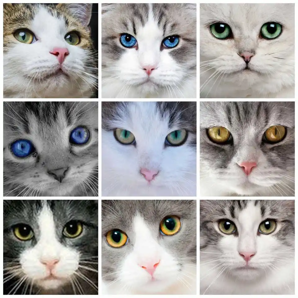 

AZQSD Diamond Painting Full Square Cat Embroidery Sale Animal Cross Stitch Handmade Picture Of Rhinestones Home Decor Gift