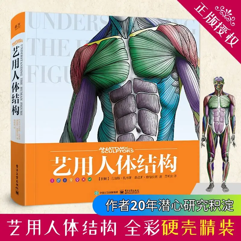 3D HD Art Human Body Books Sculpture Game Character Design Basic Tutorial Books Drawing Human form, Structure, Skeletal Muscle