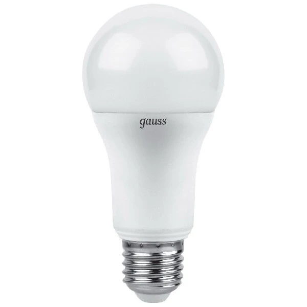 Лампа GAUSS LED A 60 globe 12 W E 27 2700 K 102502112 | Лампы и освещение