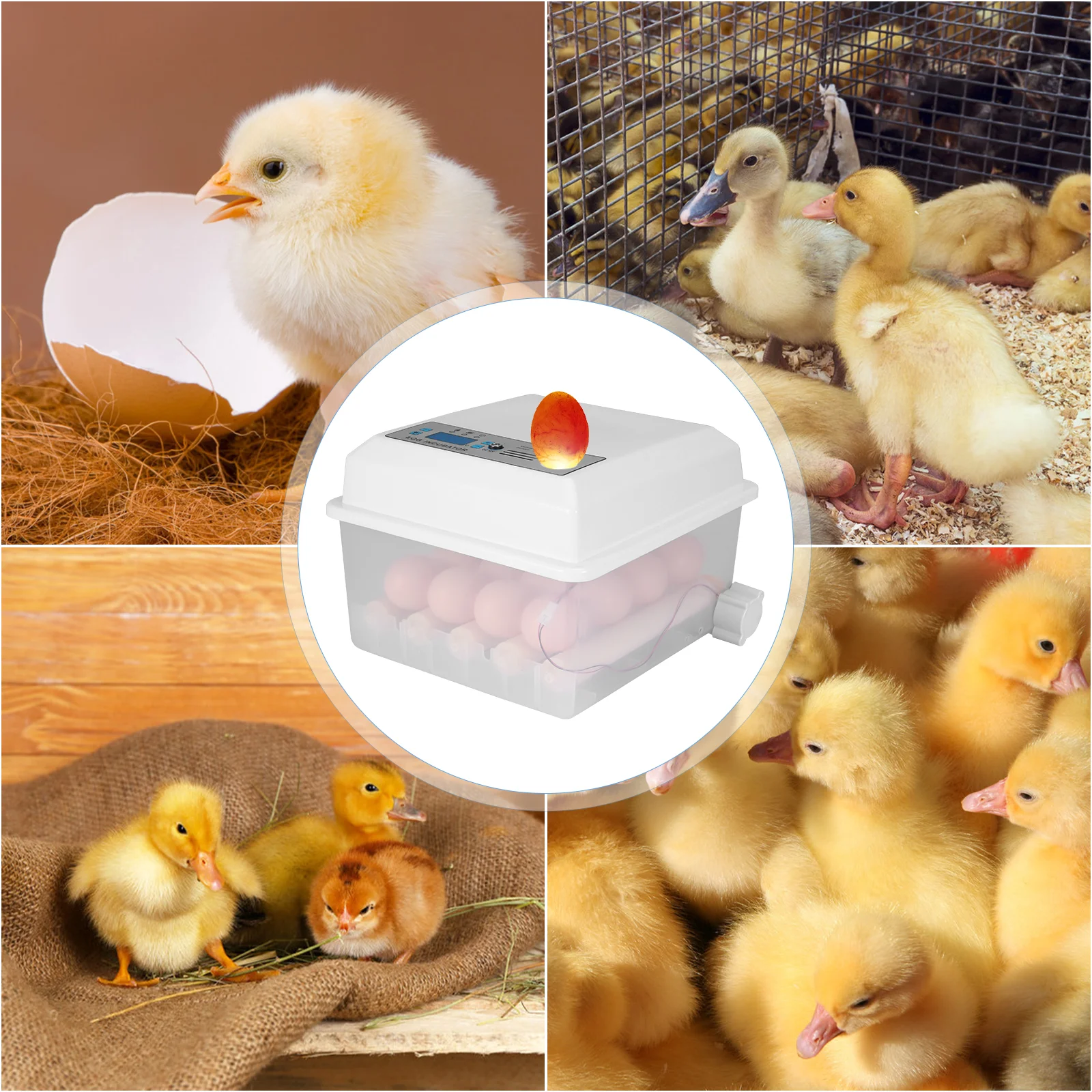 

Eggs Incubator Brooder Bird Quail Chick Hatchery Incubator Poultry Hatcher Turner Automatic Farm Incubation Tools