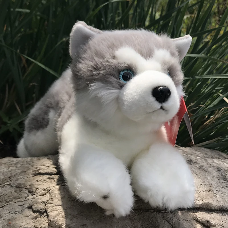AURORA Simulation Puppy Dog Plush Toys Kid Model Dolls Husky Alaskan Malamute Sheepdog Chihuahua Stuffed Soft Children Gift | Игрушки и