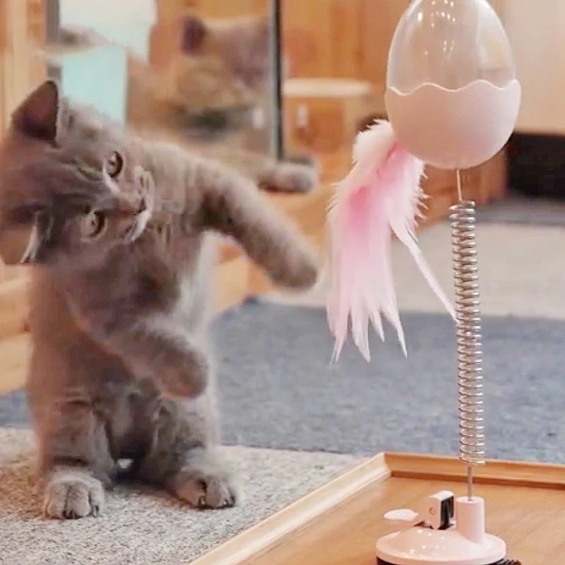 

Funny Cat Toys with Bell Elastic Feather Interactive Toys for Cat Kitten Playing Pet Seat Scratch Toy Pet Cat Product
