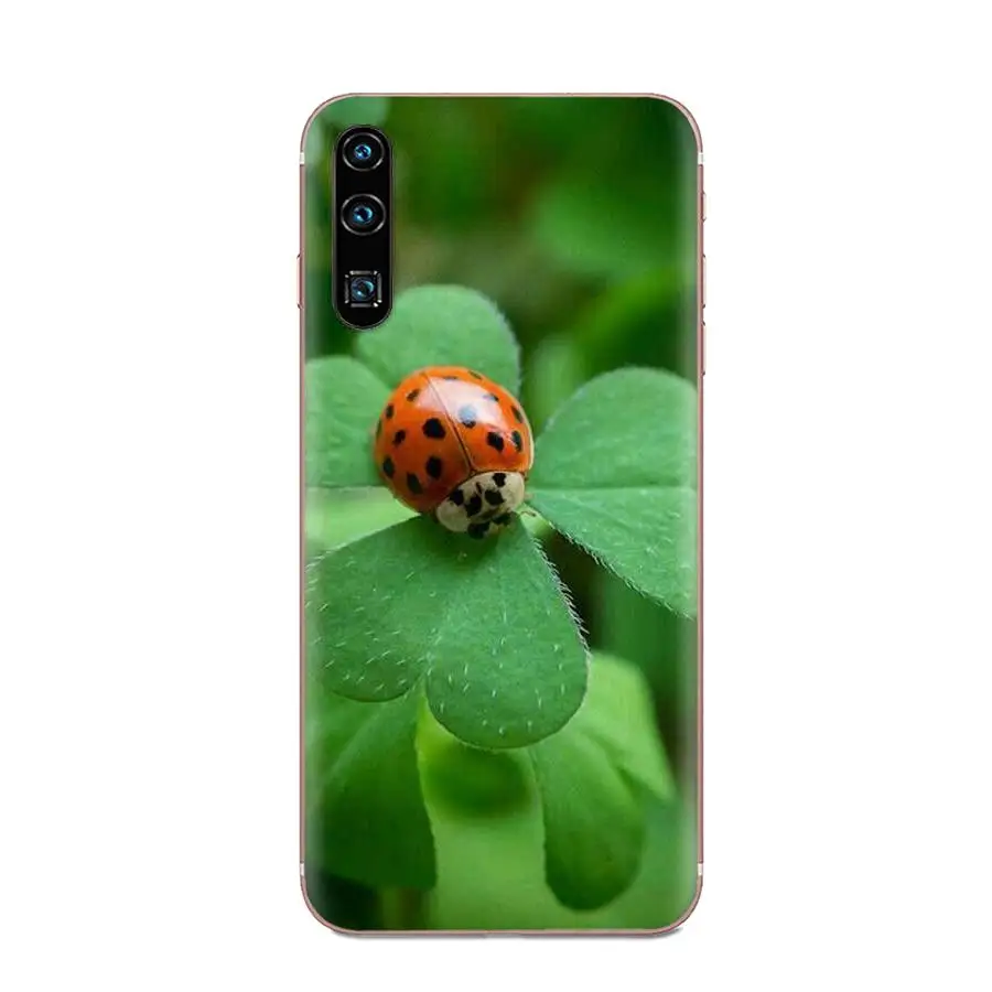 Ультрамягкие Чехлы для Samsung Galaxy Note 8 9 10 Pro S4 S5 S6 S7 S8 S9 S10 S11 S11E S20 Edge Plus|Бамперы| |