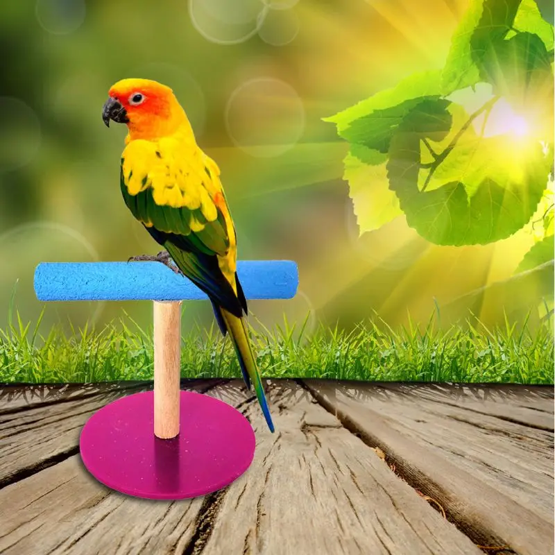Игрушка подставка для попугаев настольная деревянная матовая акриловая