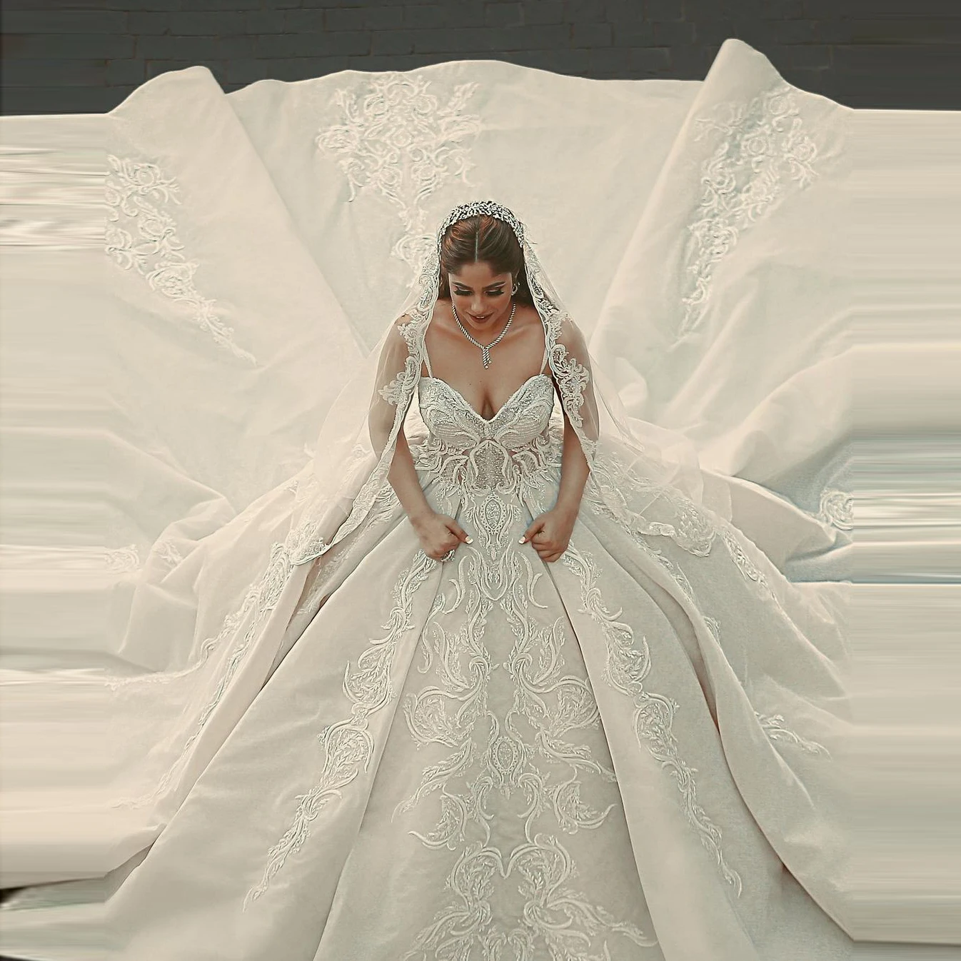 

Sexy Lace Wedding Dresses With Straps Plus Size Dubai Bridal Wedding Gowns Arabic Style Ball Gown Organza With Train
