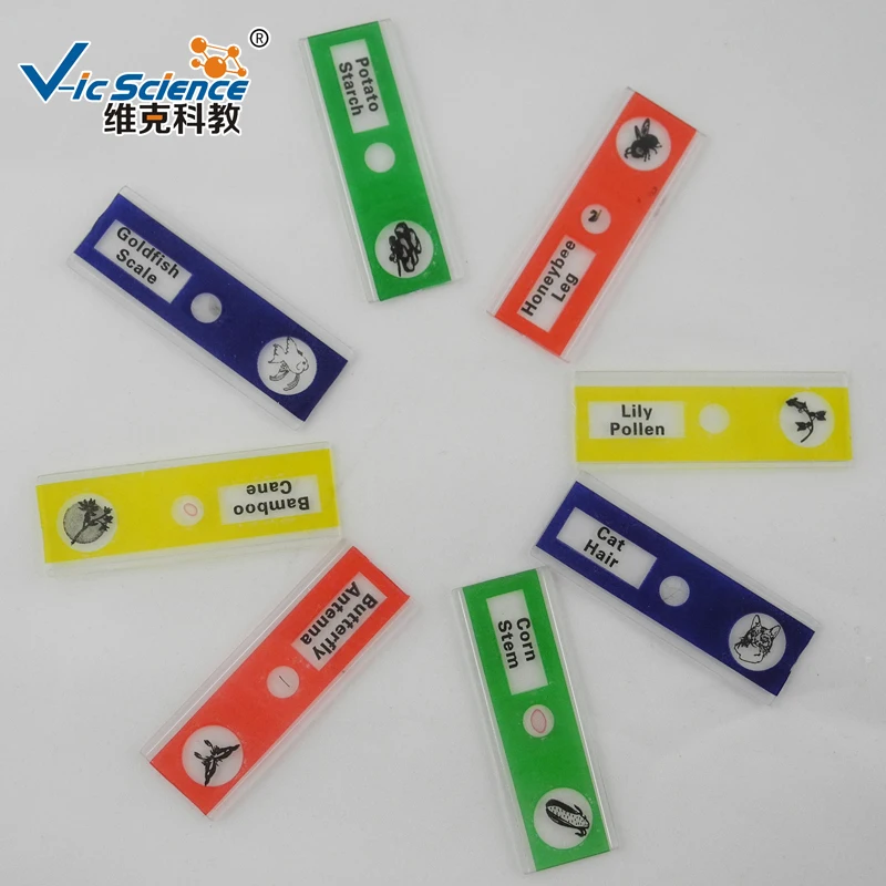 Рождественская акция 12 видов пластиковых микроскопов готовые слайды для детских