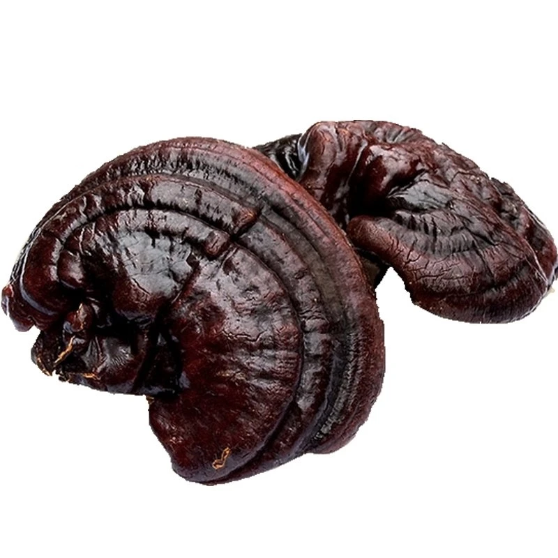 500 г/1000 г натуральный высококачественный Ganoderma lucidum Ganoderma